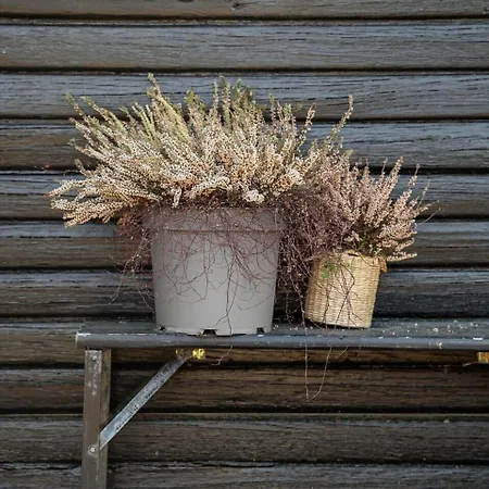 Fan014-fano-vester-kirketoft-7 別荘